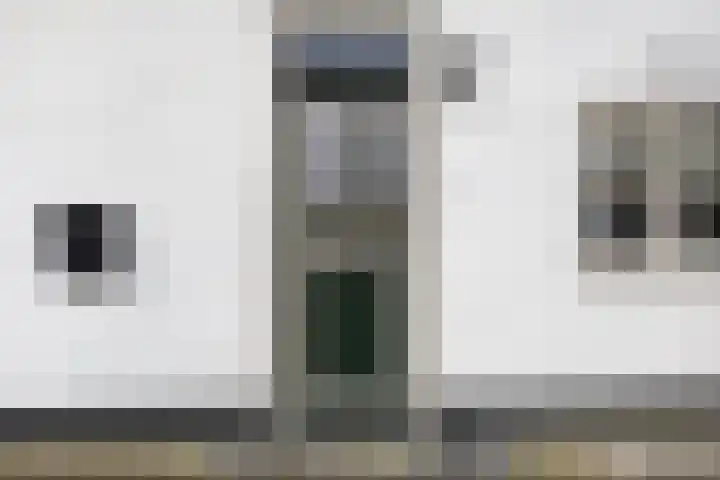 Ringwei 17 Brantgum thumbnail 12