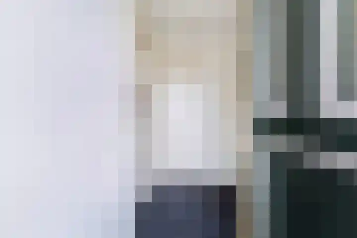 Ringwei 17 Brantgum thumbnail 13
