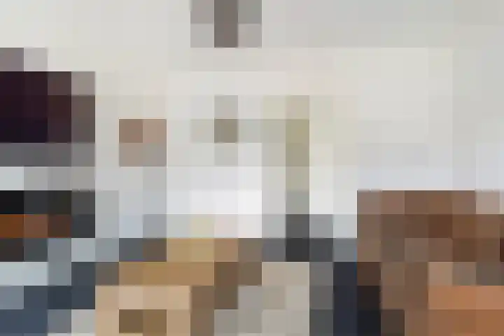Ringwei 17 Brantgum thumbnail 17