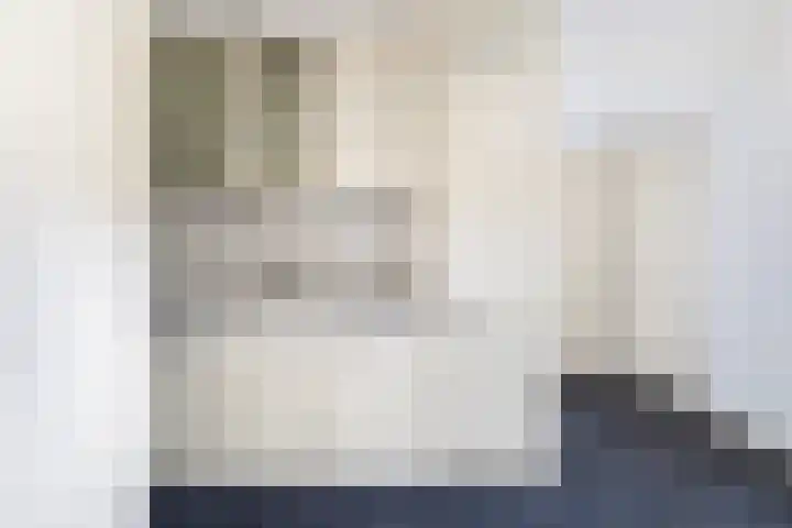 Ringwei 17 Brantgum thumbnail 18