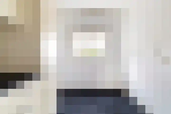 Ringwei 17 Brantgum thumbnail 21