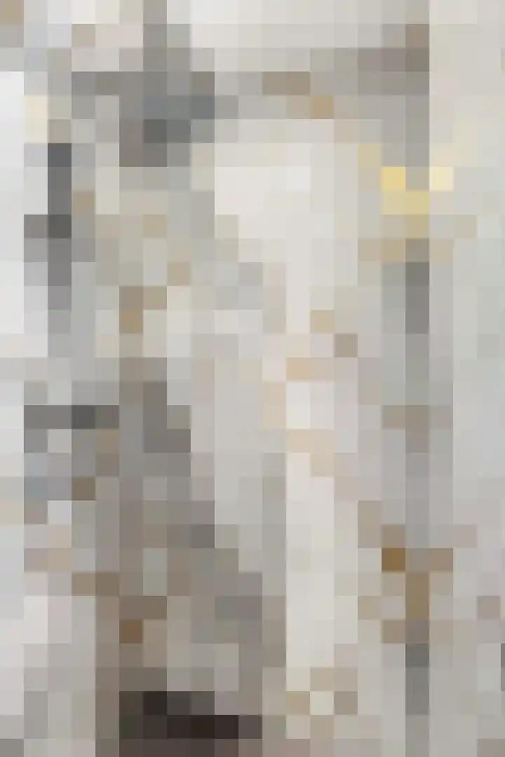 Ringwei 17 Brantgum thumbnail 23