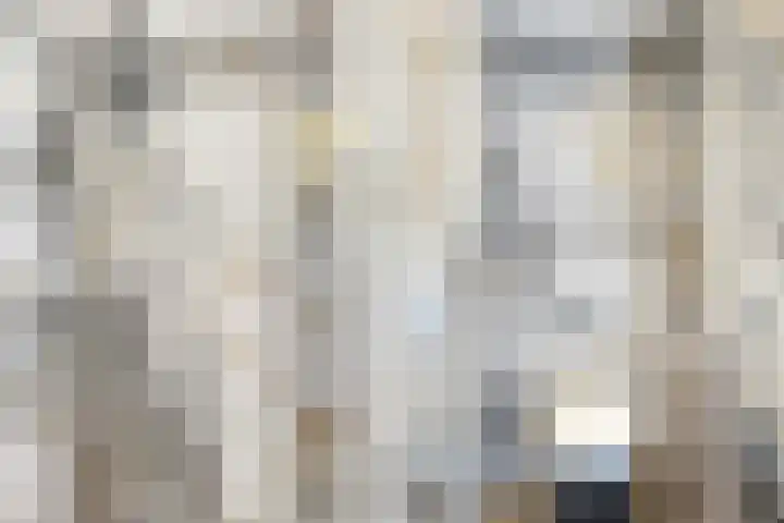 Ringwei 17 Brantgum thumbnail 24
