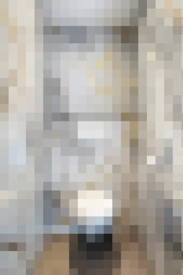 Ringwei 17 Brantgum thumbnail 25