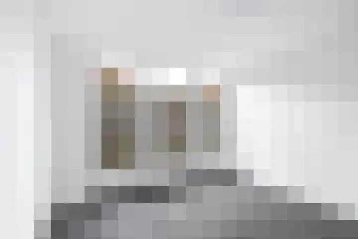 Ringwei 17 Brantgum thumbnail 28