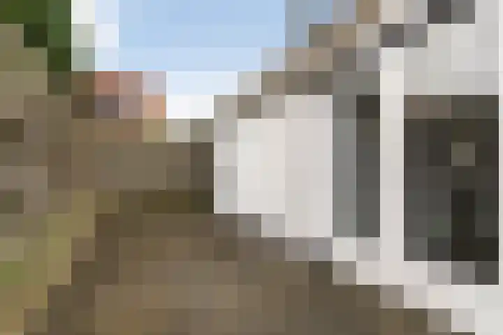 Ringwei 17 Brantgum thumbnail 29