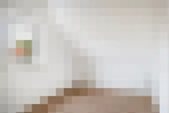 Ringwei 17 Brantgum thumbnail 32