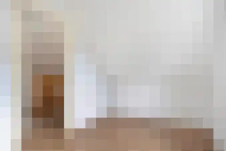 Ringwei 17 Brantgum thumbnail 33