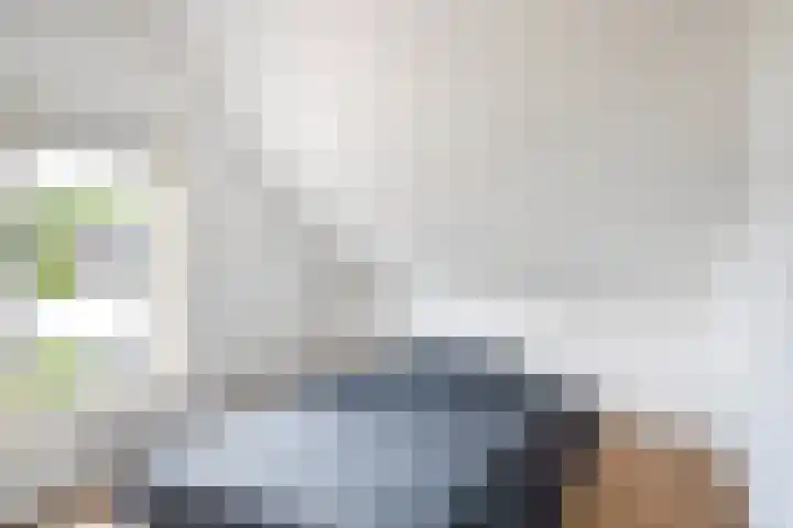 Ringwei 17 Brantgum thumbnail 34