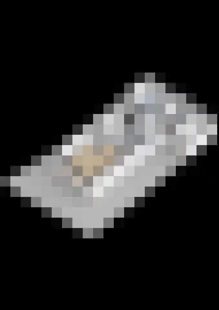 Ringwei 17 Brantgum thumbnail 39