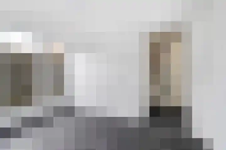 Ringwei 17 Brantgum thumbnail 4