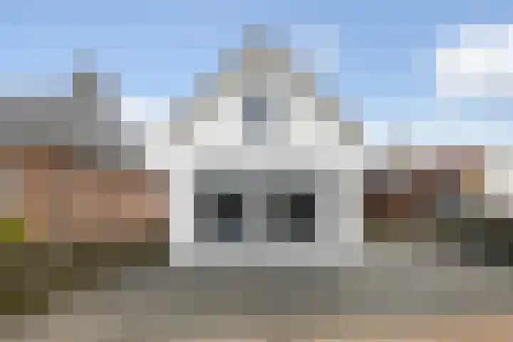 Ringwei 17 Brantgum thumbnail 6