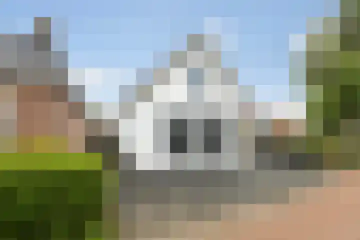 Ringwei 17 Brantgum thumbnail 7