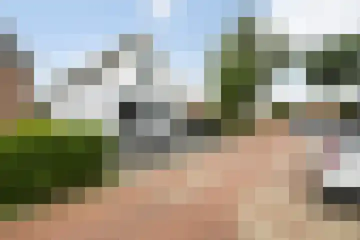 Ringwei 17 Brantgum thumbnail 8