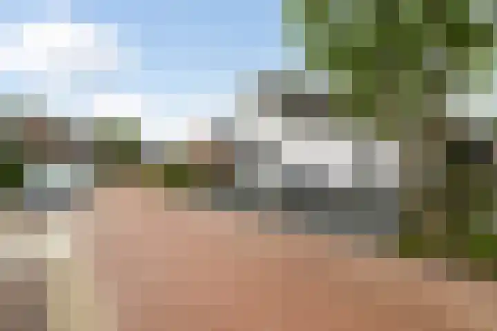 Ringwei 17 Brantgum thumbnail 9