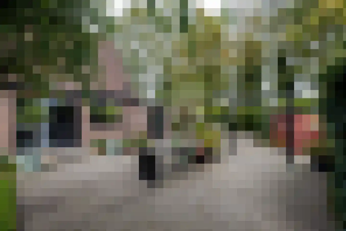 Ringwei 2 Brantgum thumbnail 13