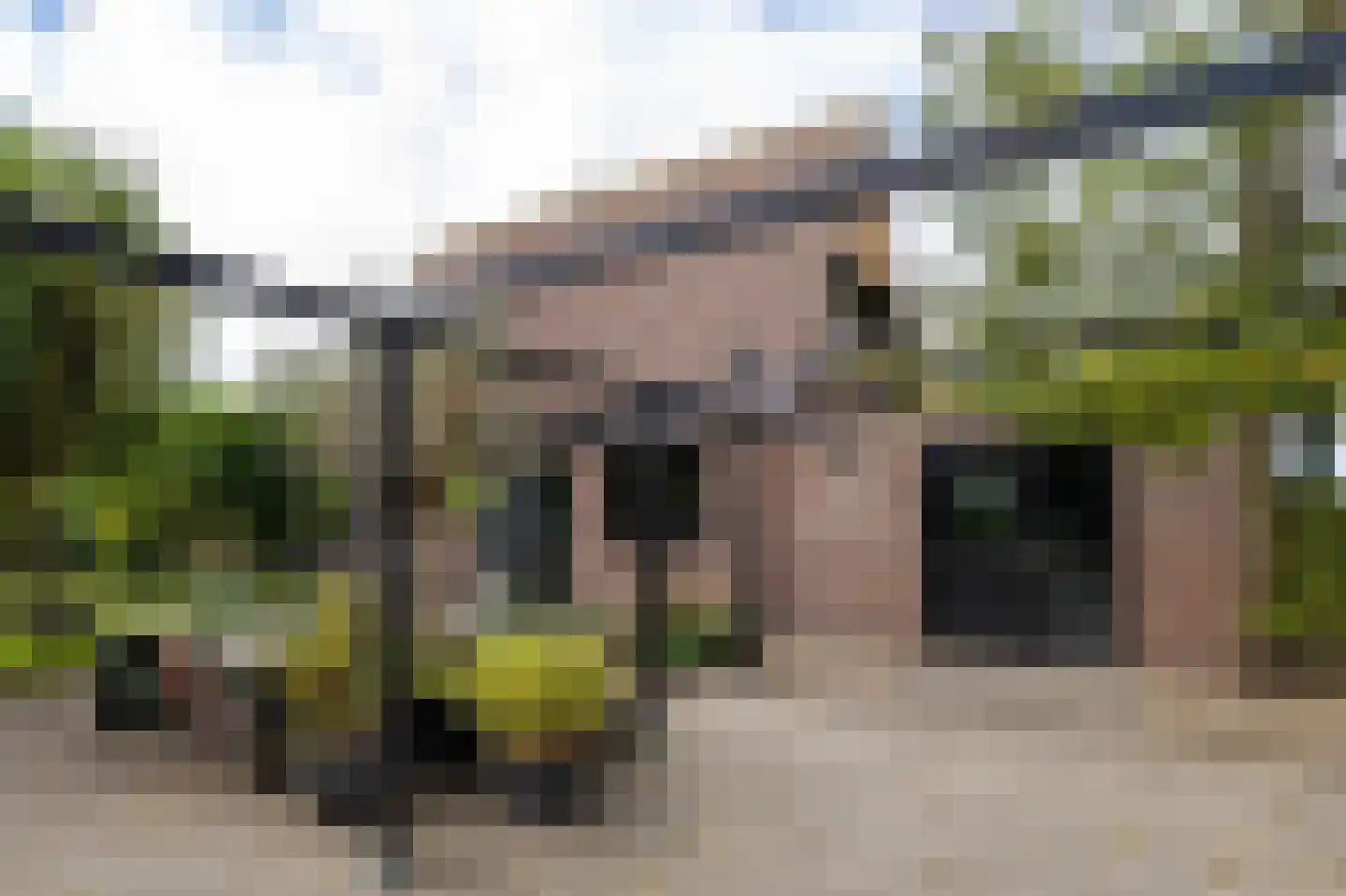 Ringwei 2 Brantgum thumbnail 14