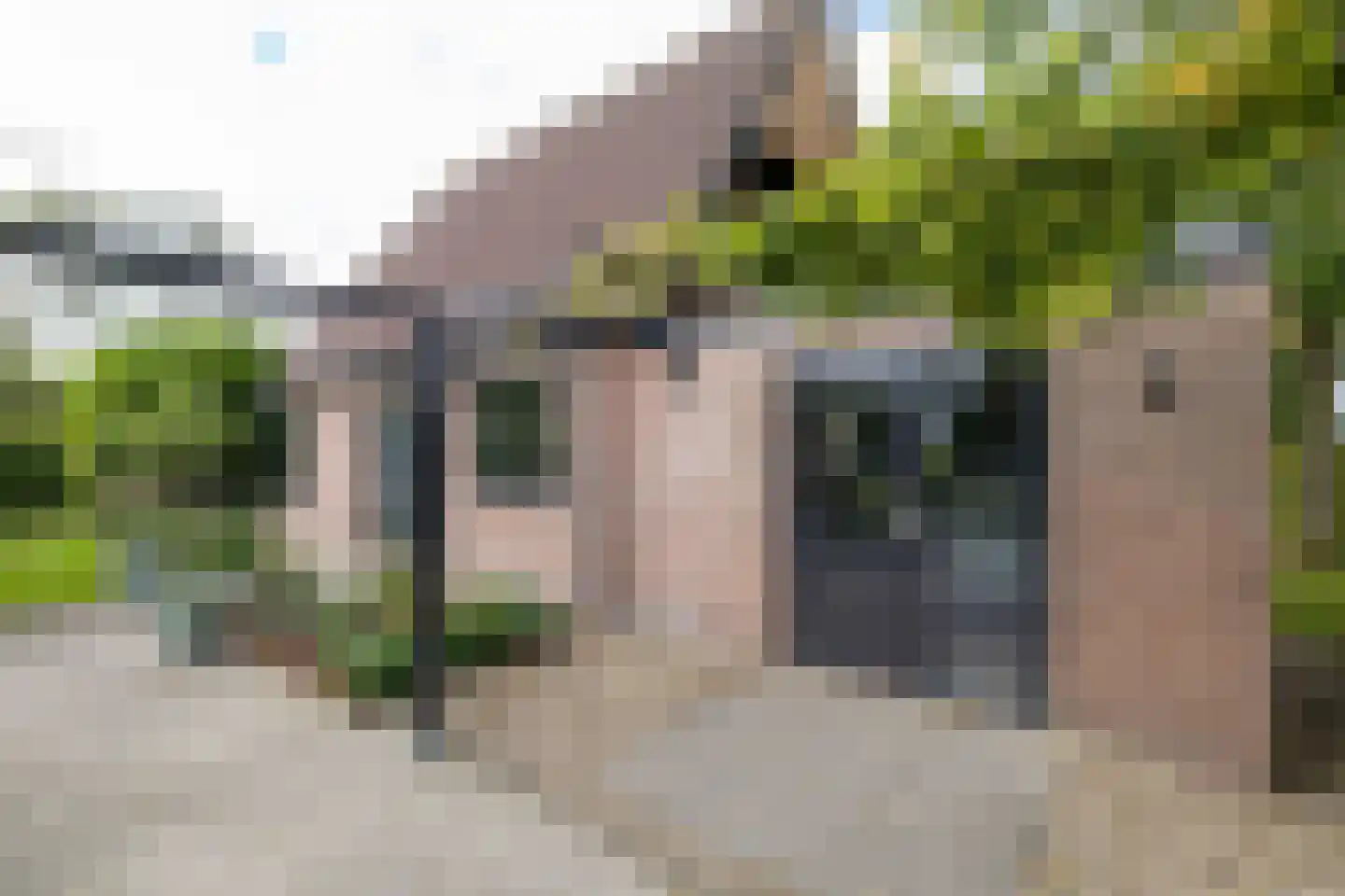 Ringwei 2 Brantgum thumbnail 15