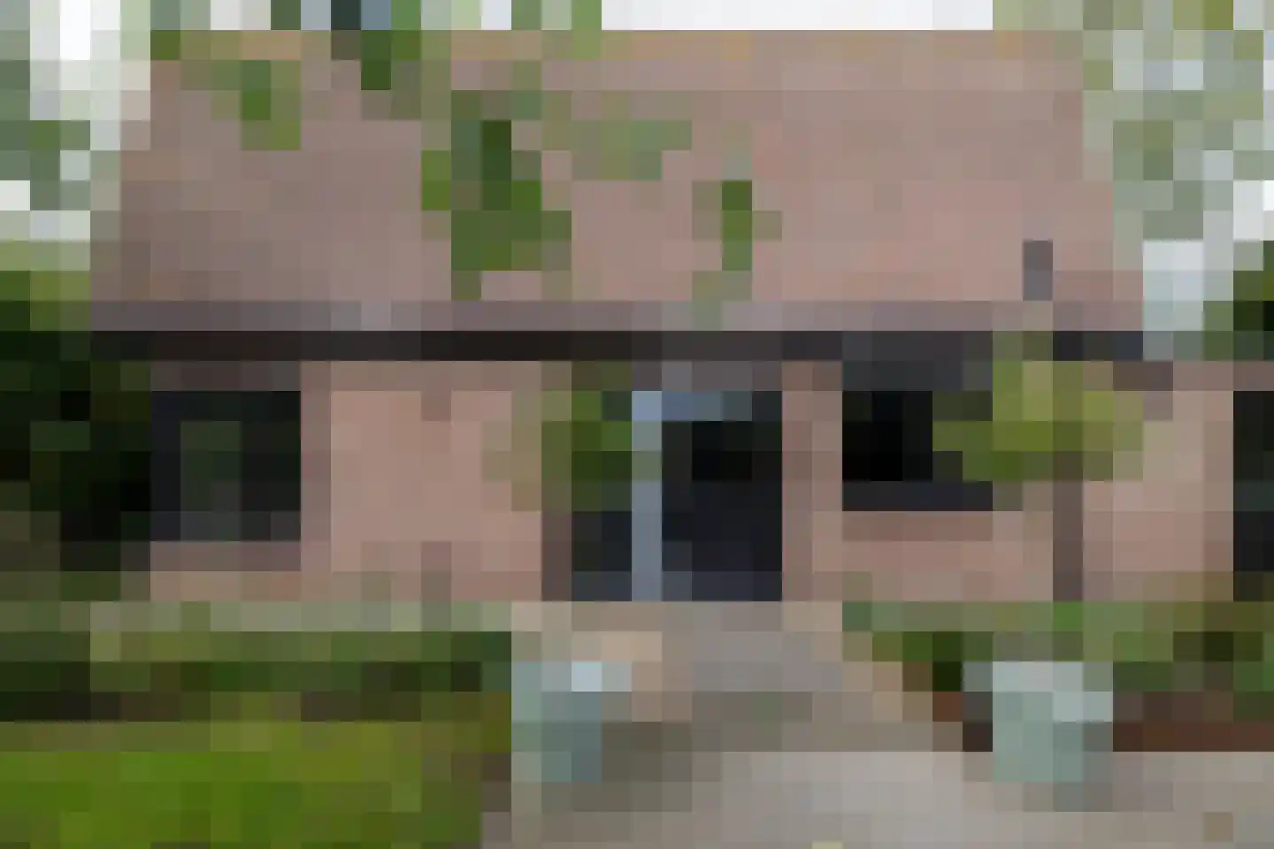 Ringwei 2 Brantgum thumbnail 19