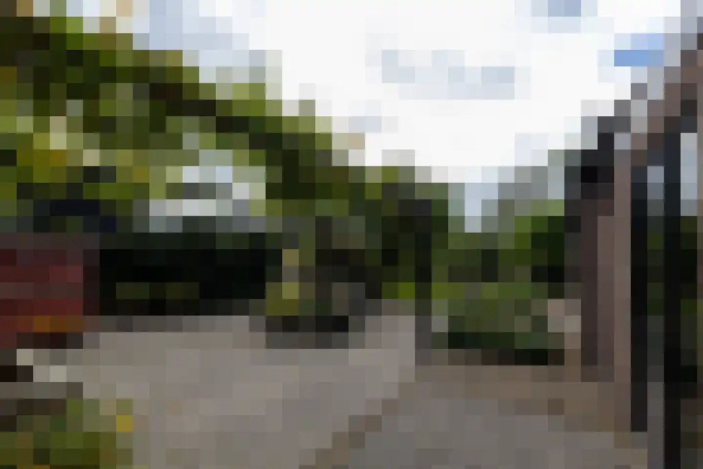 Ringwei 2 Brantgum thumbnail 20