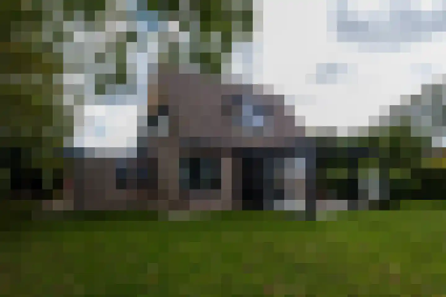 Ringwei 2 Brantgum thumbnail 22