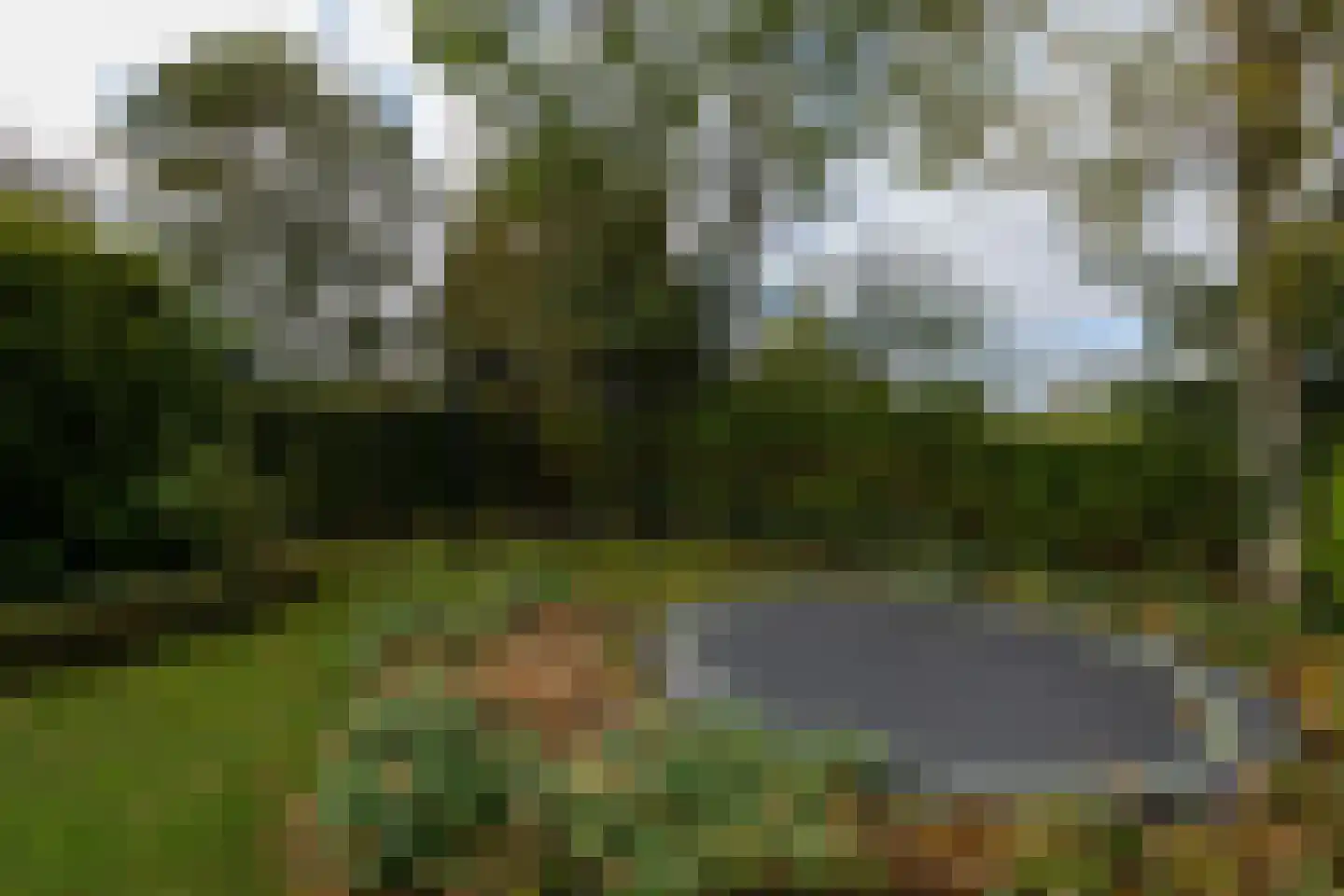 Ringwei 2 Brantgum thumbnail 23