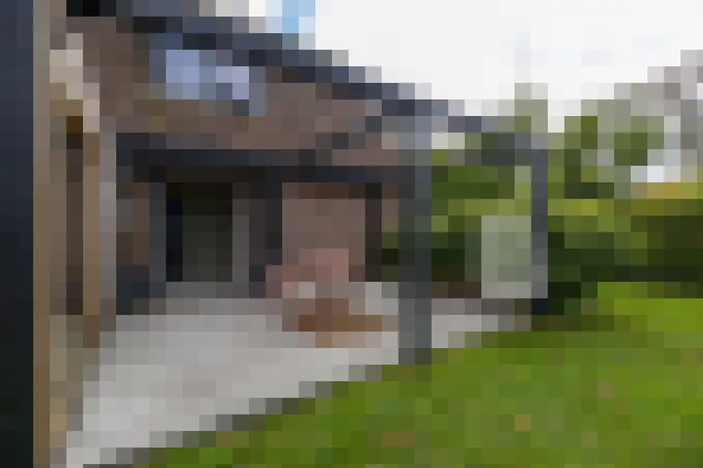 Ringwei 2 Brantgum thumbnail 24