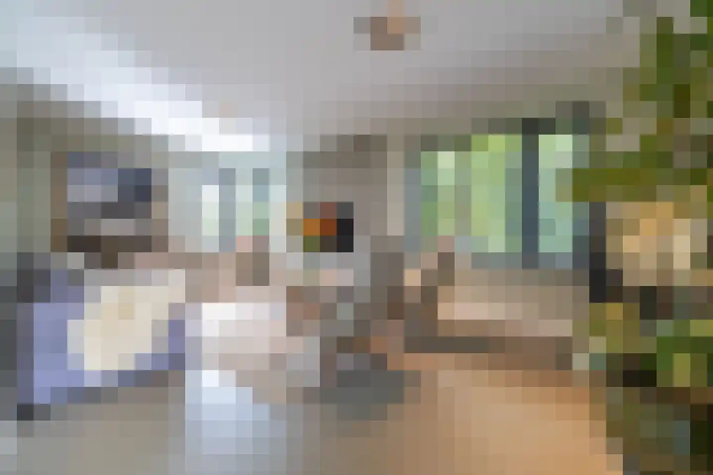 Ringwei 2 Brantgum thumbnail 27
