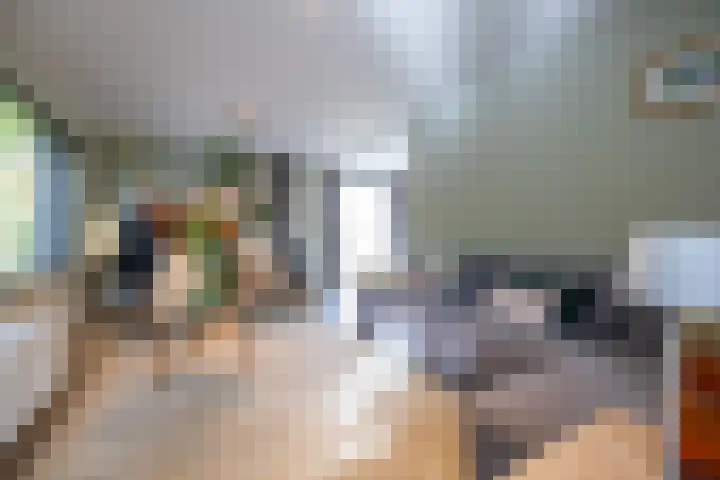 Ringwei 2 Brantgum thumbnail 29