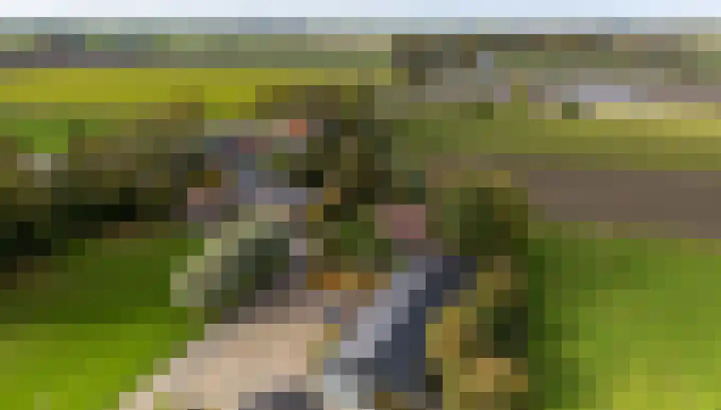 Ringwei 2 Brantgum thumbnail 4
