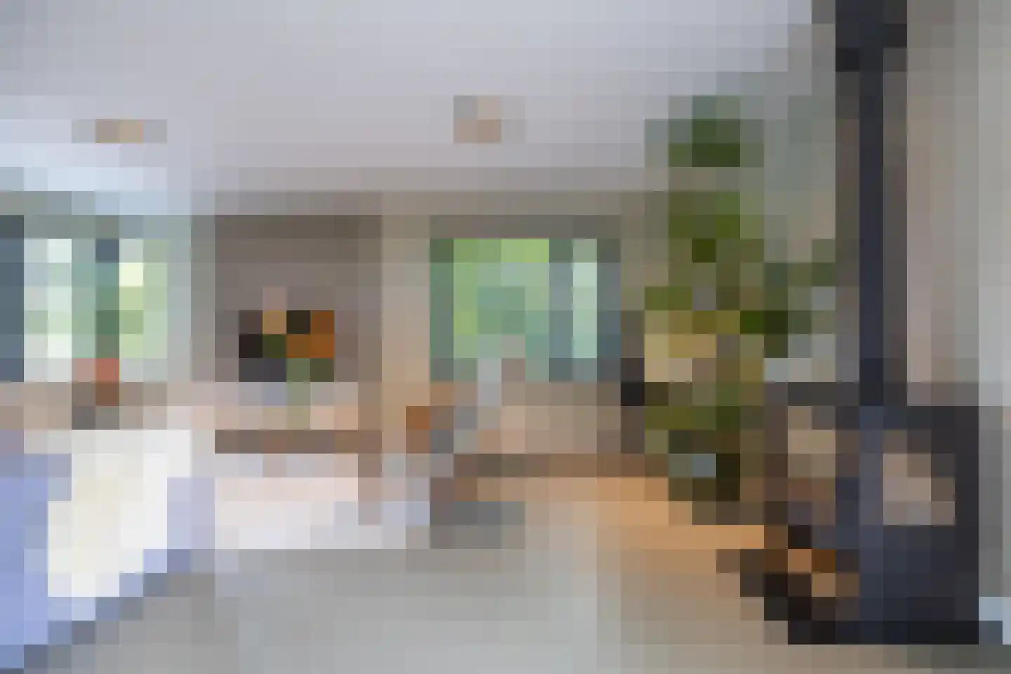 Ringwei 2 Brantgum thumbnail 43