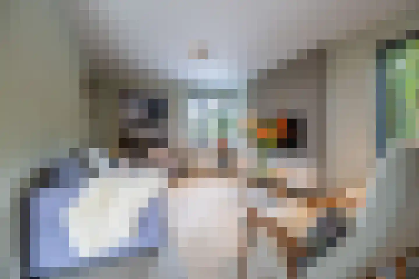 Ringwei 2 Brantgum thumbnail 44