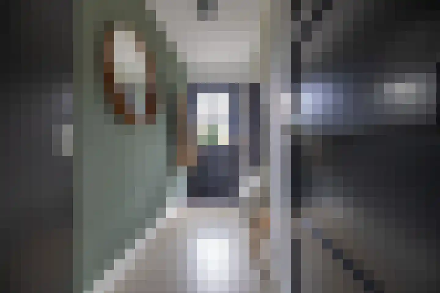 Ringwei 2 Brantgum thumbnail 45