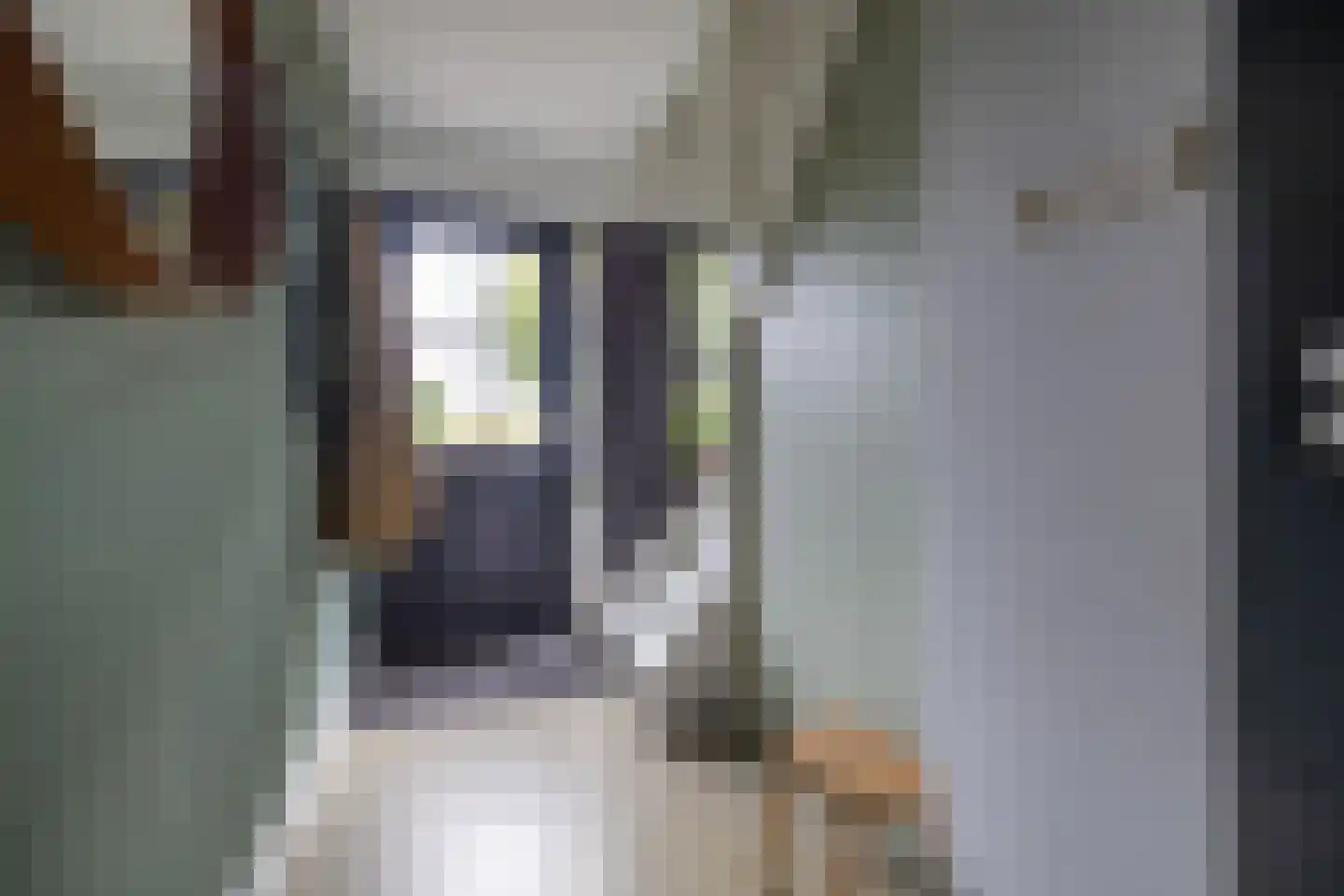 Ringwei 2 Brantgum thumbnail 46