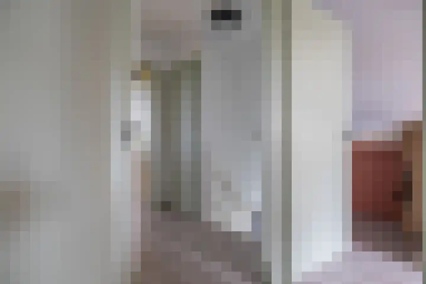 Ringwei 2 Brantgum thumbnail 53