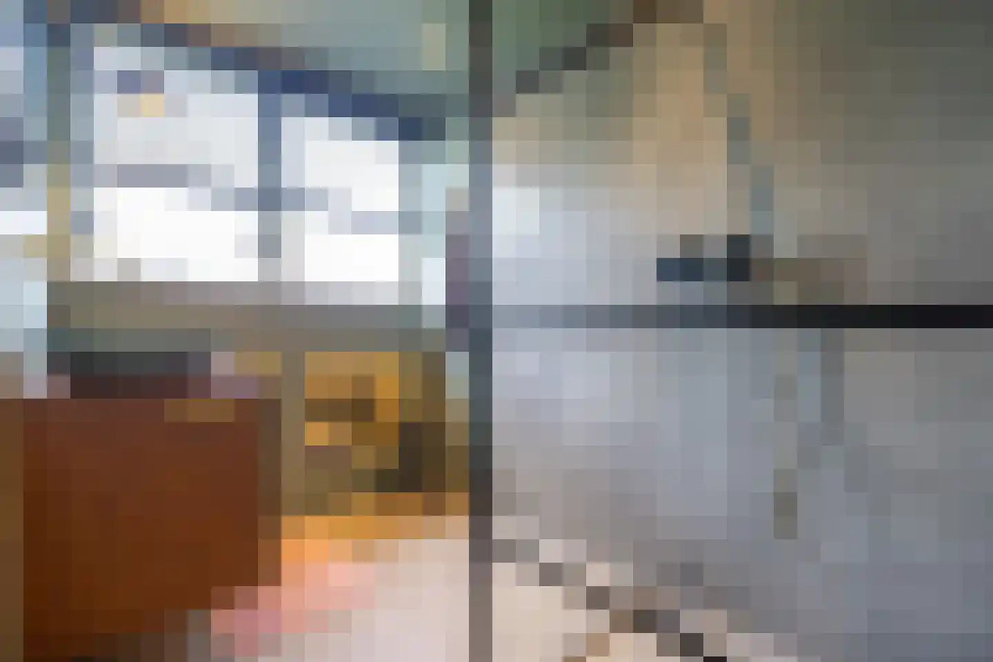 Ringwei 2 Brantgum thumbnail 54
