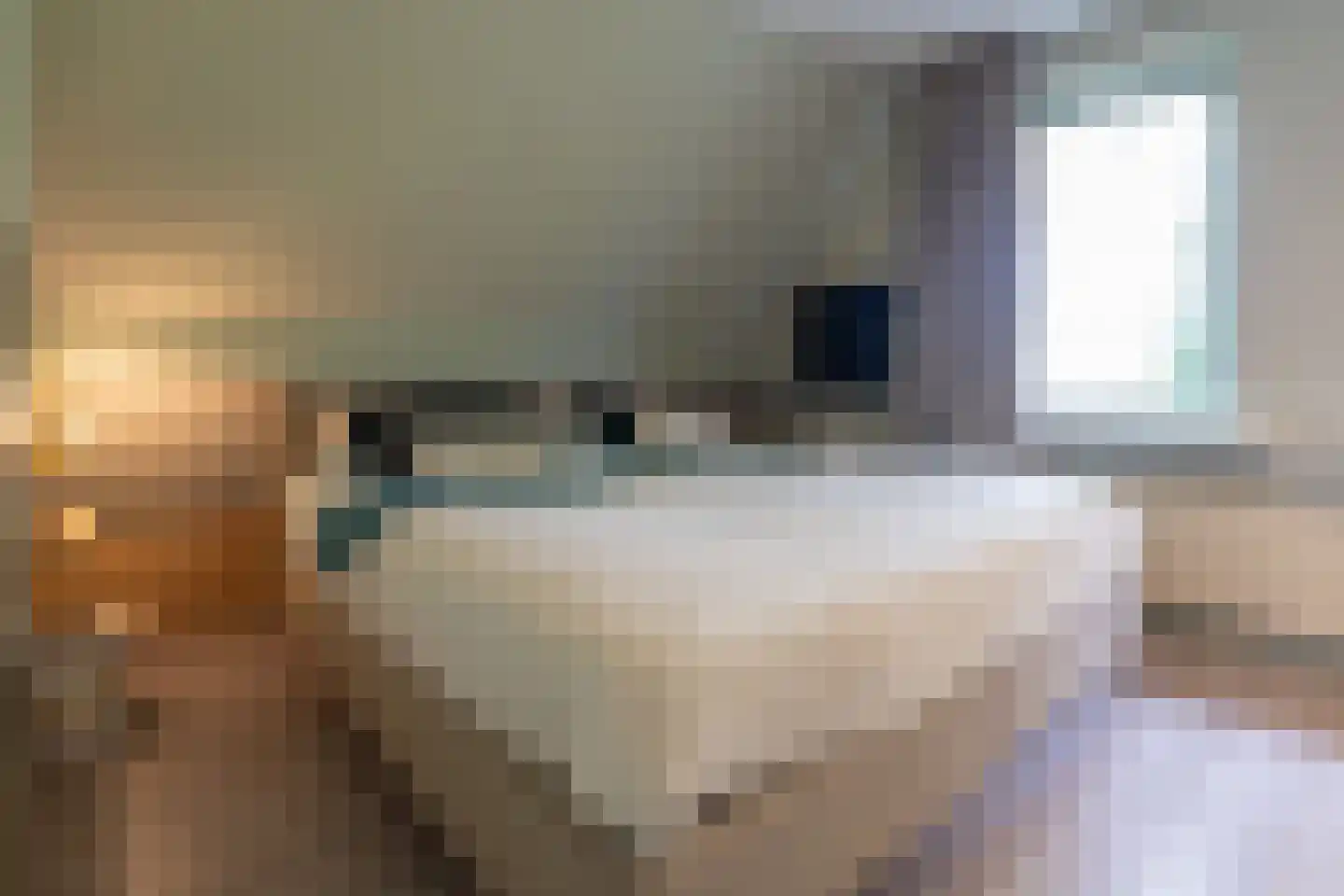 Ringwei 2 Brantgum thumbnail 59