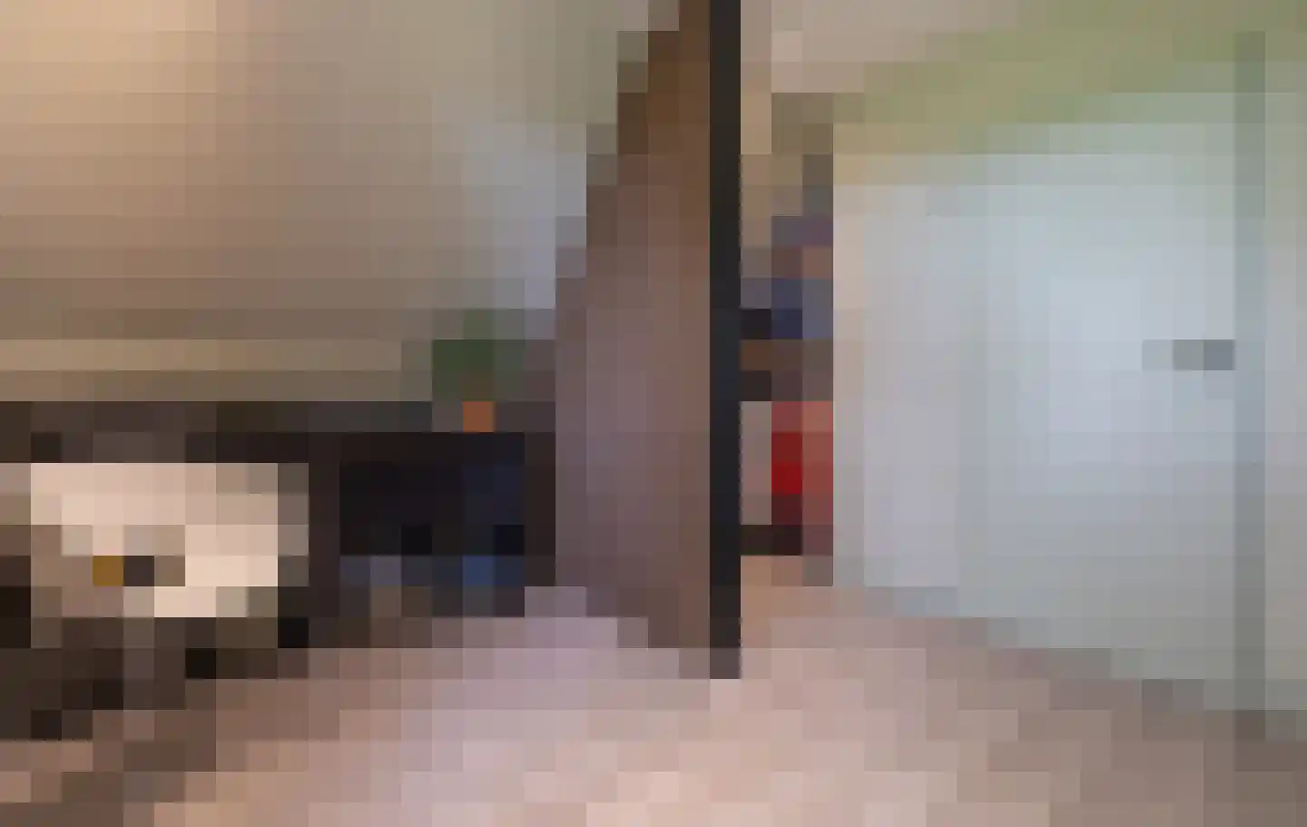 Ringwei 2 Brantgum thumbnail 62