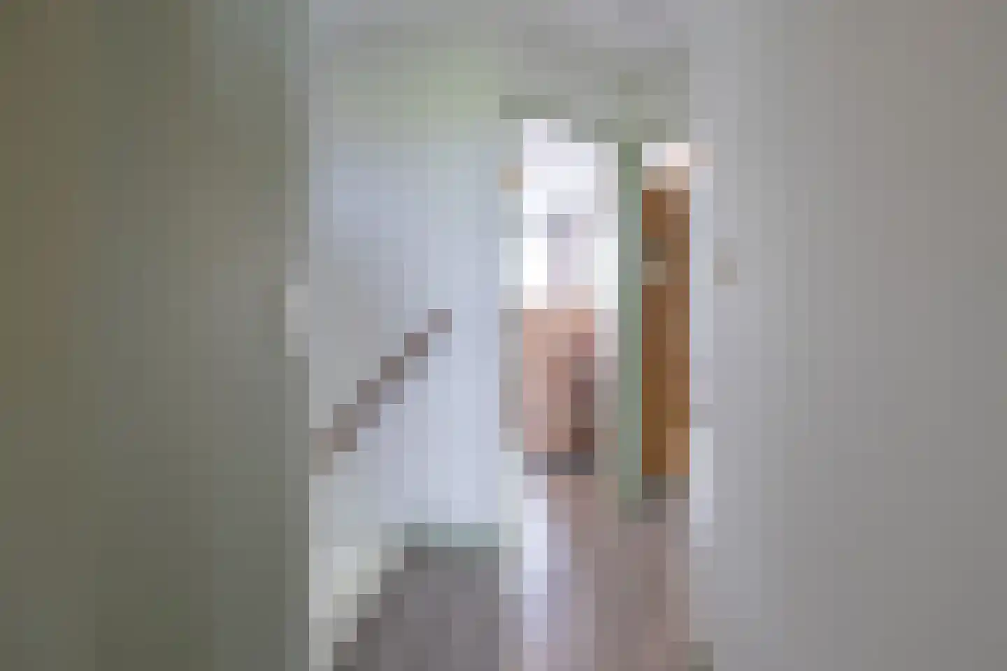Ringwei 2 Brantgum thumbnail 63