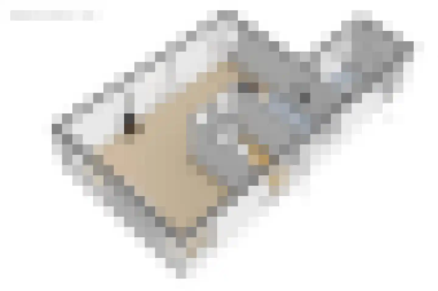 Ringwei 2 Brantgum thumbnail 68