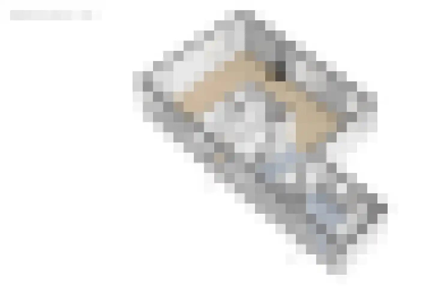 Ringwei 2 Brantgum thumbnail 69