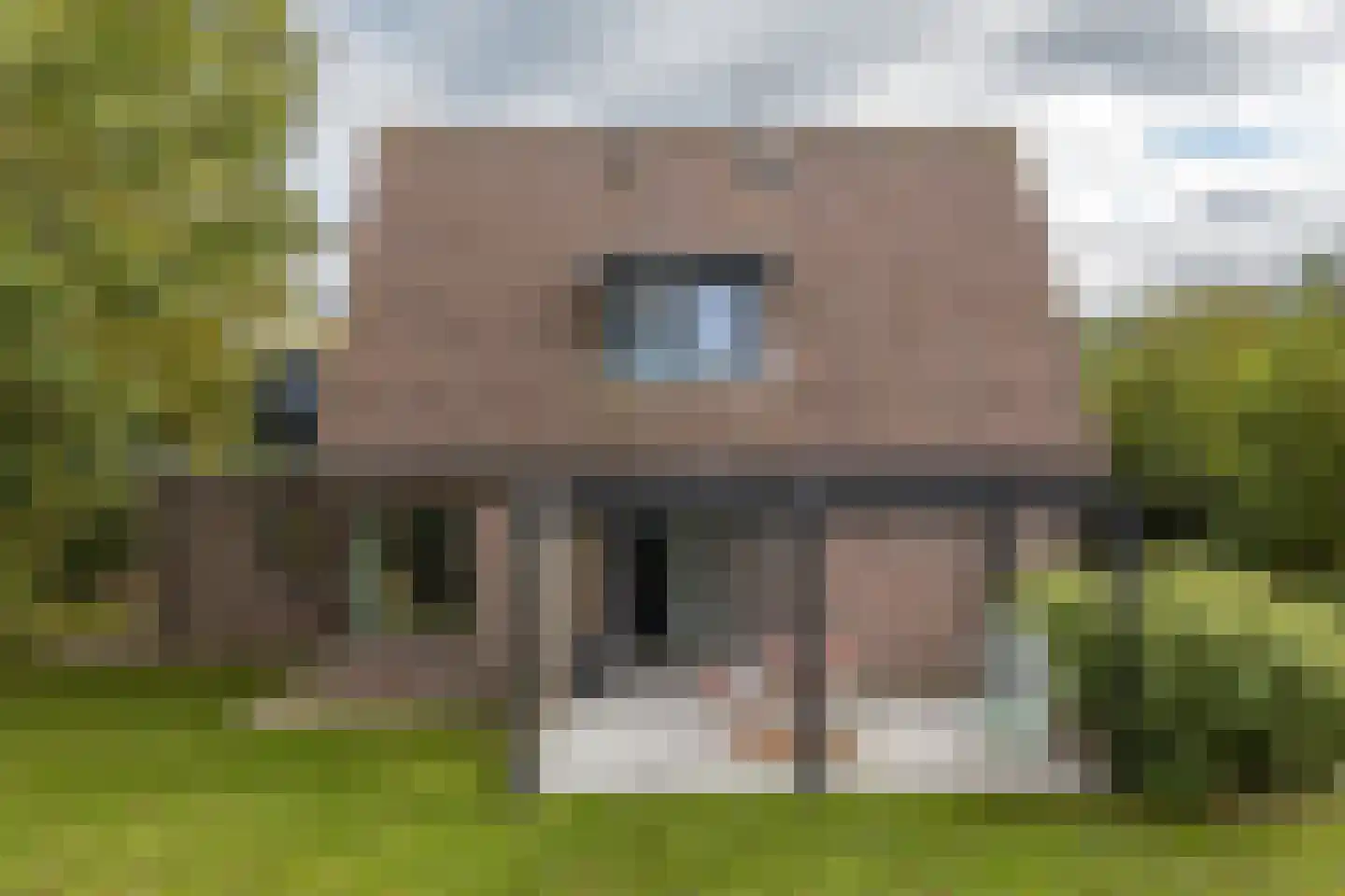 Ringwei 2 Brantgum thumbnail 7