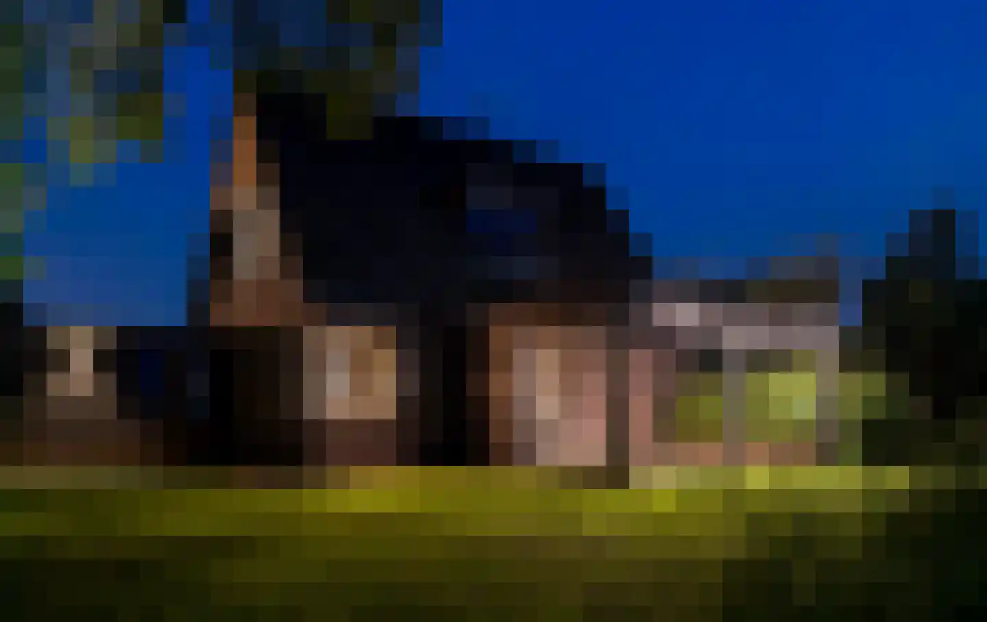 Ringwei 2 Brantgum thumbnail 8