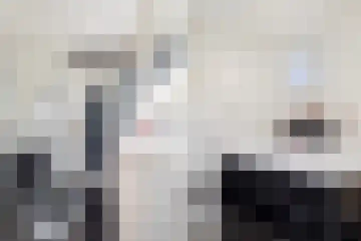 Ringwei 20 Brantgum thumbnail 12