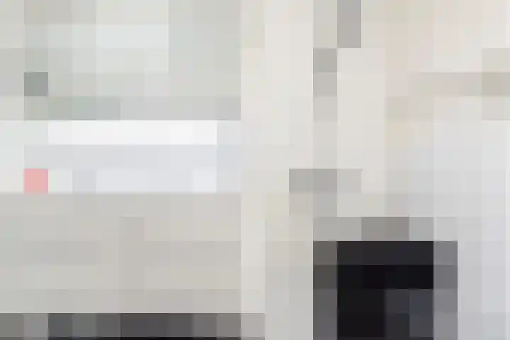 Ringwei 20 Brantgum thumbnail 13