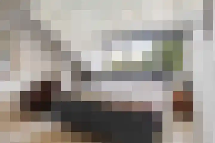 Ringwei 20 Brantgum thumbnail 15