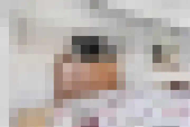 Ringwei 20 Brantgum thumbnail 16