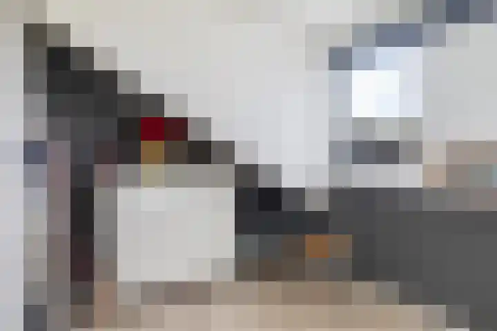 Ringwei 20 Brantgum thumbnail 17