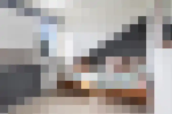 Ringwei 20 Brantgum thumbnail 18