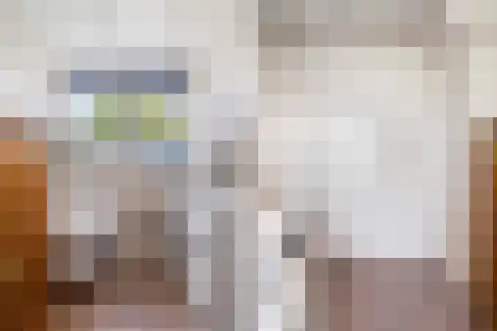 Ringwei 20 Brantgum thumbnail 19